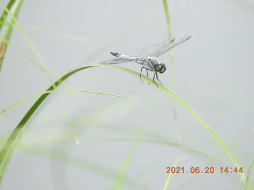 DSCN0088.JPG