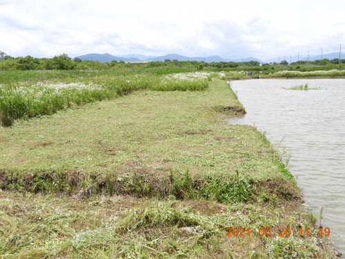 DSCN0073.JPG