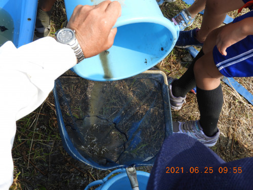 DSCN0161.JPG
