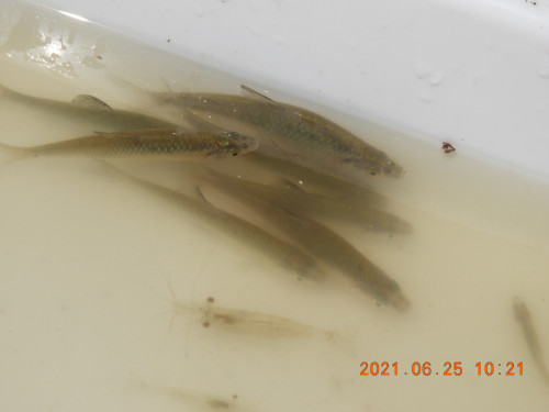 DSCN0201.JPG
