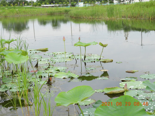 DSCN0317.JPG