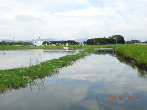 DSCN0311.JPG