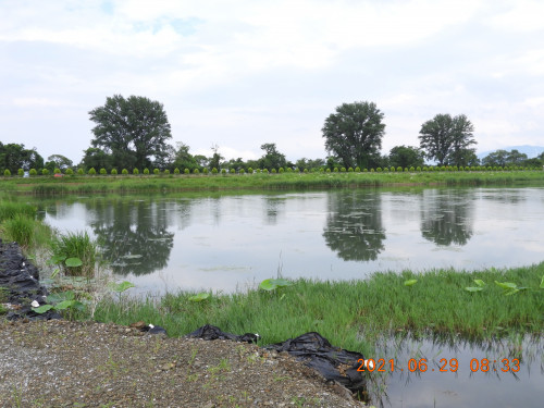DSCN0310.JPG