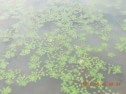 DSCN0314.JPG