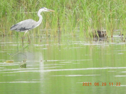 DSCN0325.JPG