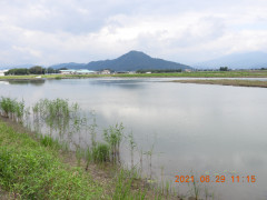 DSCN0321.JPG