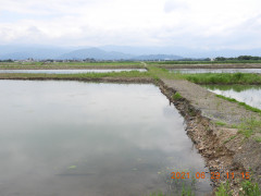 DSCN0322.JPG