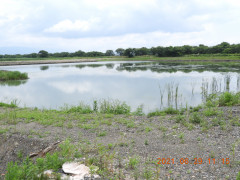 DSCN0323.JPG