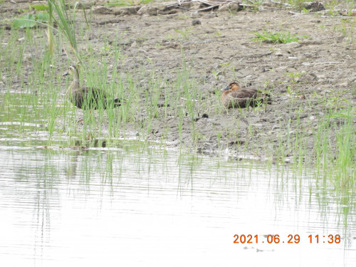 DSCN0328.JPG