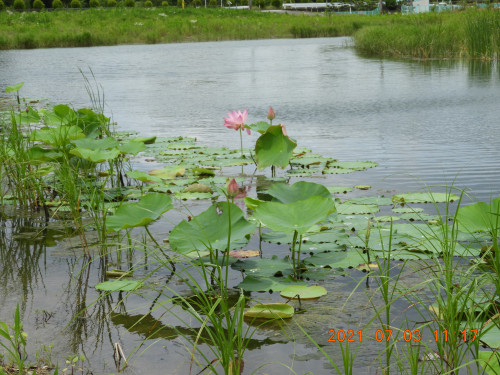 DSCN0372.JPG