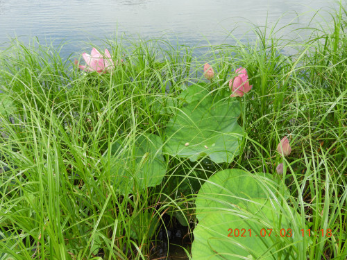 DSCN0373.JPG
