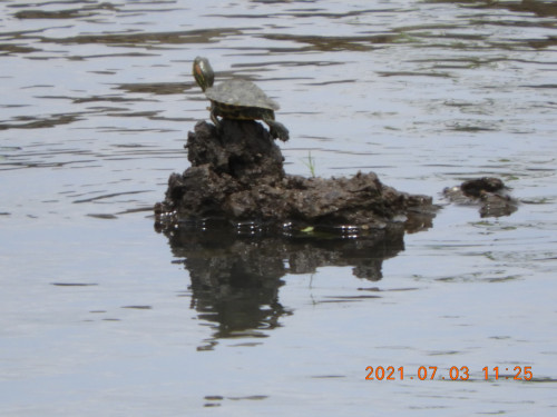 DSCN0377.JPG