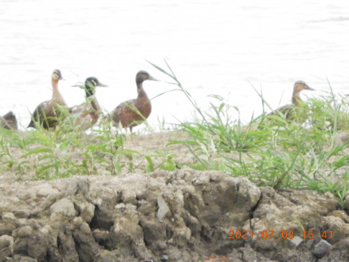 DSCN0381.JPG