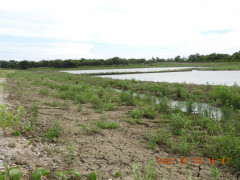 DSCN0388.JPG