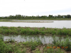 DSCN0389.JPG