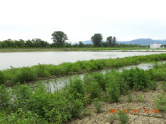 DSCN0390.JPG