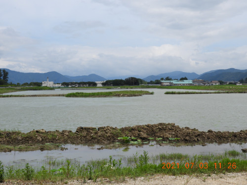 DSCN0378.JPG