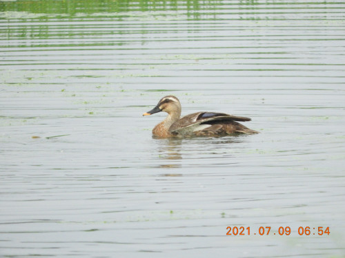DSCN0397.JPG