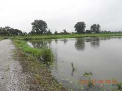 DSCN0398.JPG
