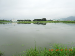 DSCN0399.JPG