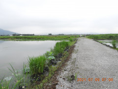 DSCN0400.JPG