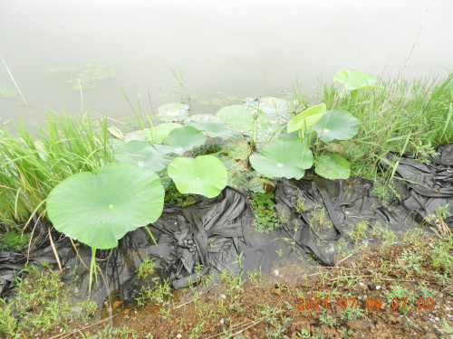 DSCN0401.JPG
