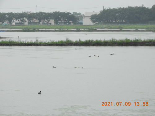 DSCN0434.JPG