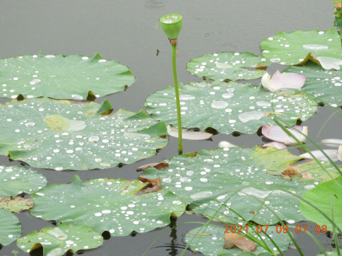 DSCN0405.JPG