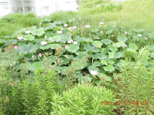 DSCN0471.JPG