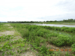 DSCN0442.JPG