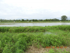 DSCN0443.JPG