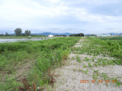 DSCN0444.JPG