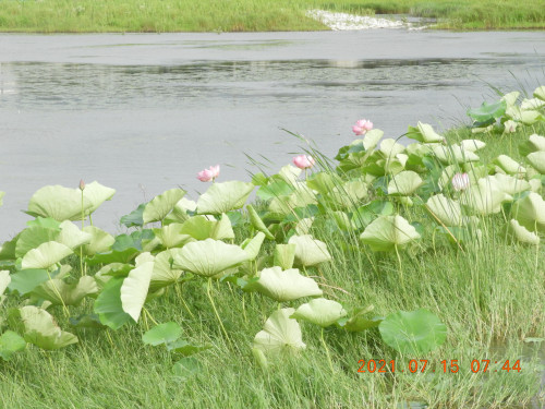DSCN0441.JPG