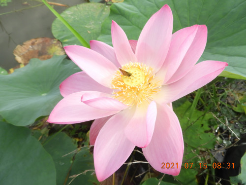 DSCN0464.JPG