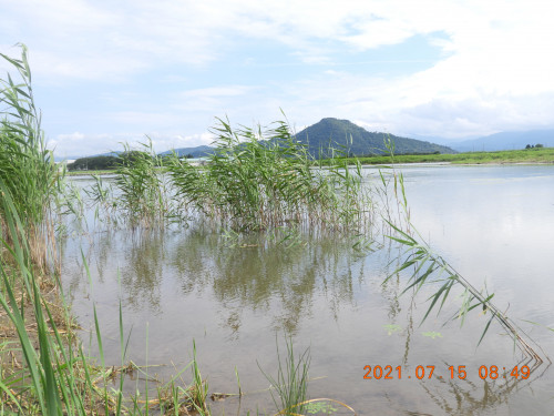 DSCN0472.JPG