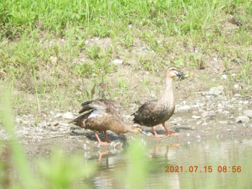 DSCN0475.JPG