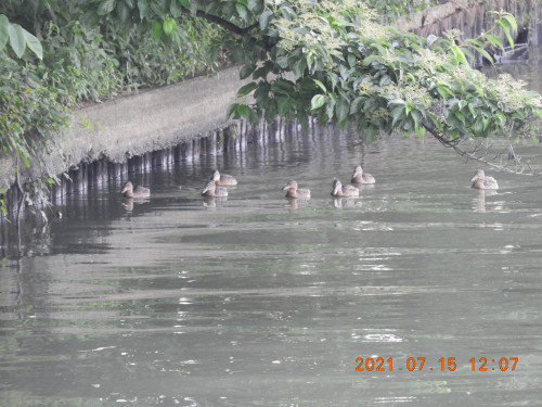 DSCN0506.JPG