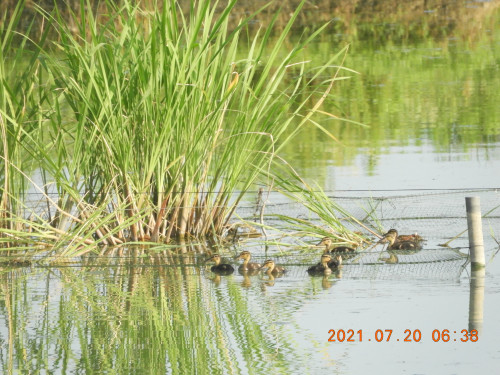 DSCN0541.JPG