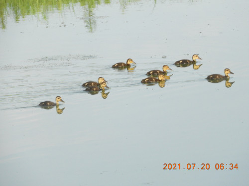 DSCN0530.JPG