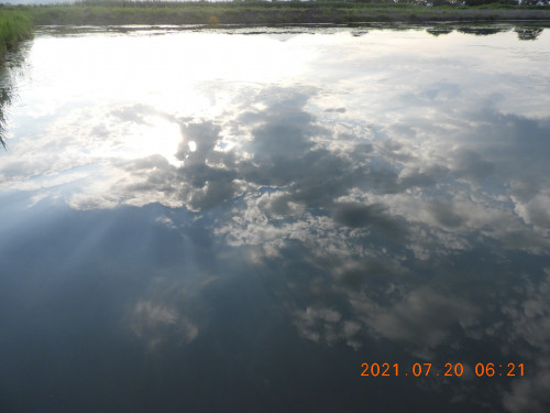 DSCN0522.JPG