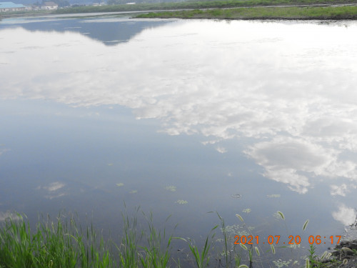 DSCN0518.JPG