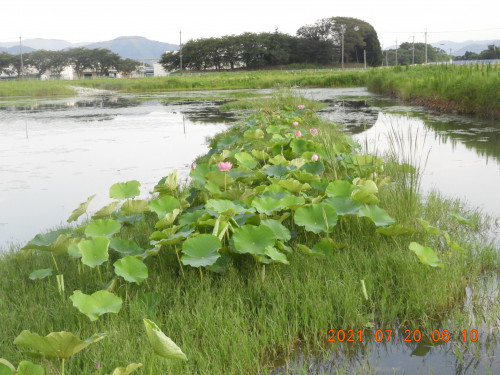 DSCN0515.JPG