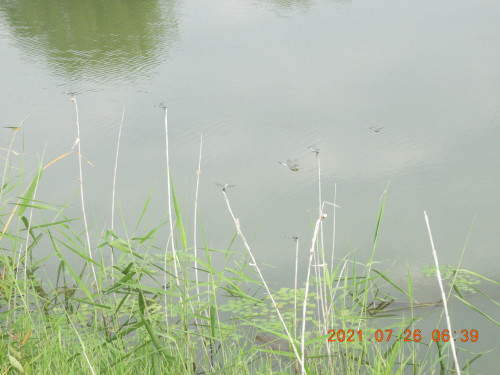 DSCN9052.JPG