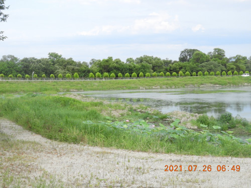 DSCN9054.JPG