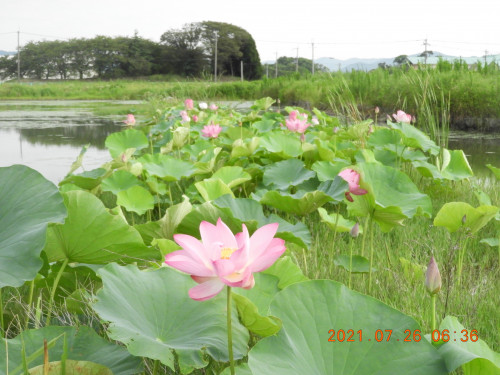 DSCN9050.JPG