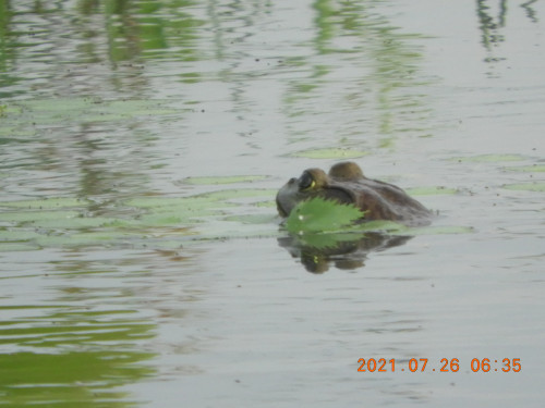 DSCN9048.JPG