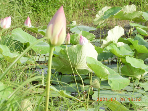DSCN9077.JPG