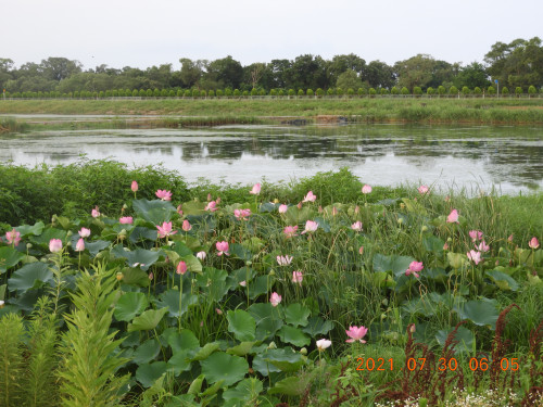 DSCN9088.JPG