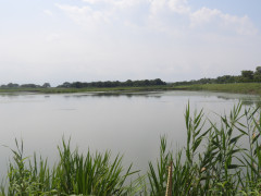DSCN9111.JPG