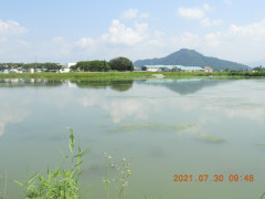 DSCN9101.JPG